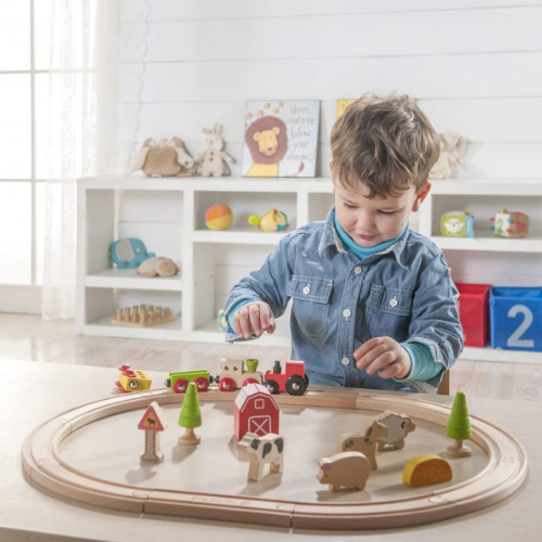 EverEarth Farm Train Set | Babyography – Baby O