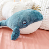 O.B Designs Softy Hurley Whale Ocean