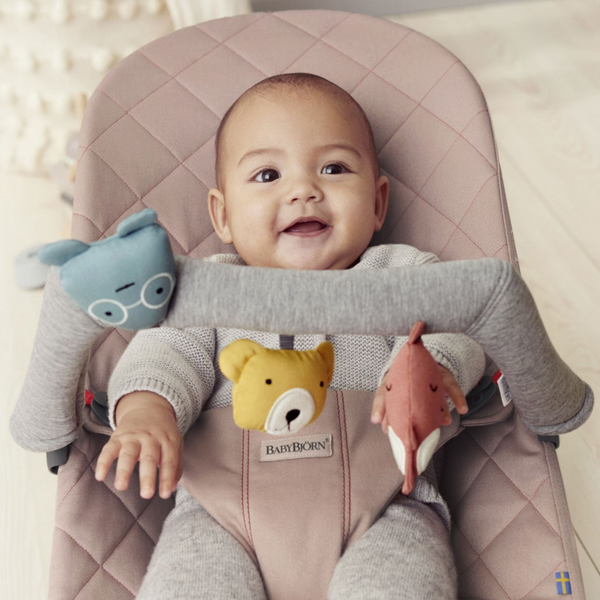 Baby bjorn shop soft toy